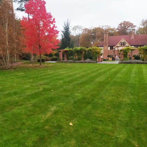 Lawn Care Specialists in Somerton by Ova the Hedge