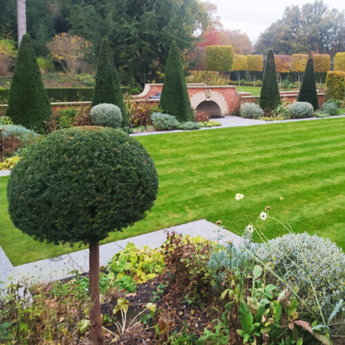 Lawn Care in Somerton by Ova the Hedge